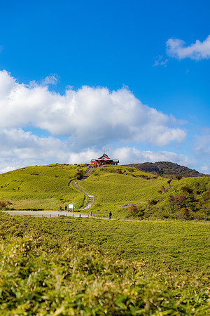 2026JapanTrip-25