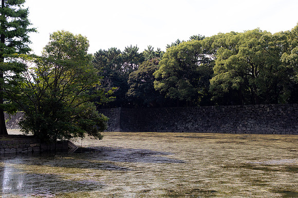 2026JapanTrip-126