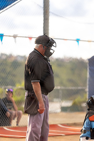 BlueJaysBaseball-18