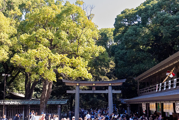 2026JapanTrip-211