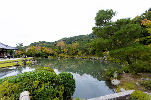 2026JapanTrip-260