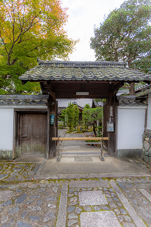 2026JapanTrip-268