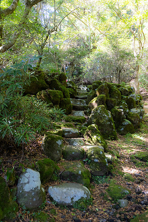 2026JapanTrip-10