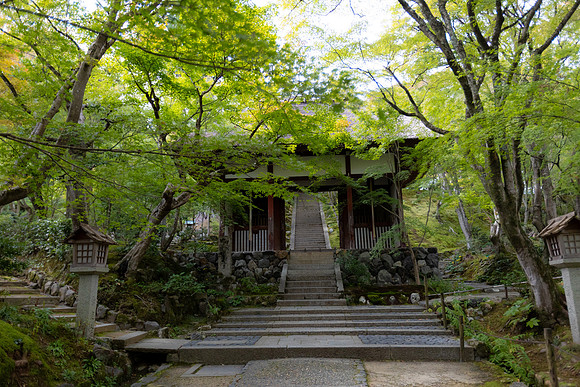 2026JapanTrip-223