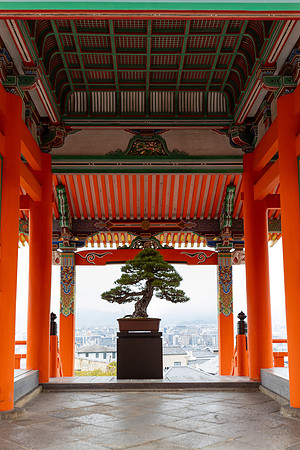 2026JapanTrip-283