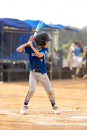 BlueJaysBaseball-2