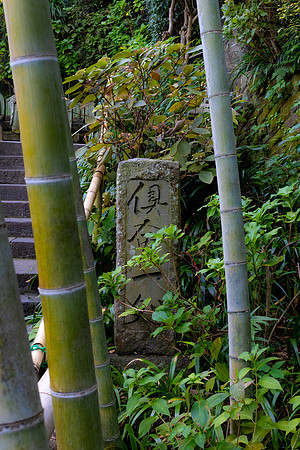 2026JapanTrip-79