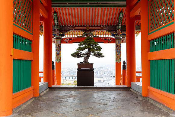2026JapanTrip-282