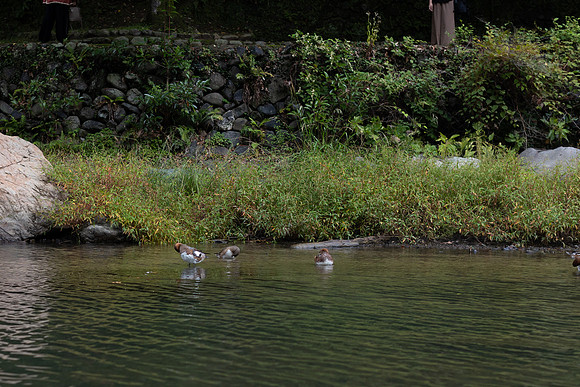 2026JapanTrip-336