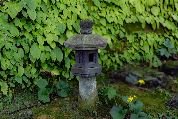 2026JapanTrip-69