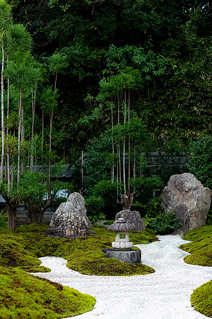 2026JapanTrip-91