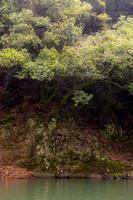 2026JapanTrip-346