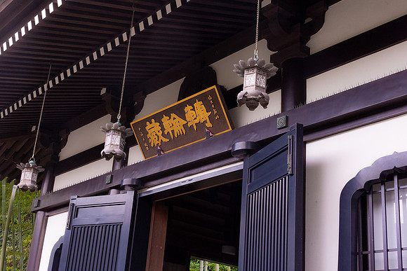 2026JapanTrip-76