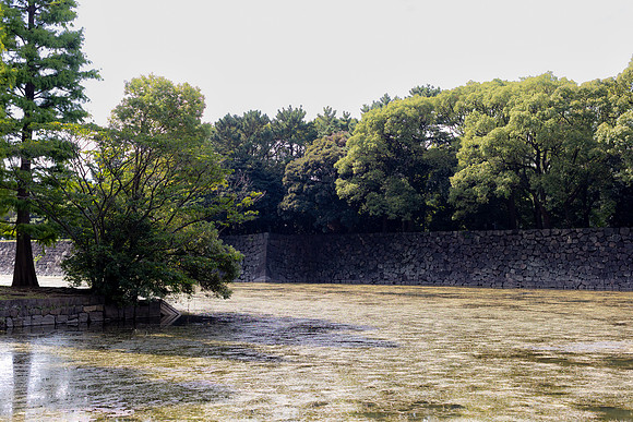 2026JapanTrip-125