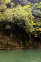 2026JapanTrip-345