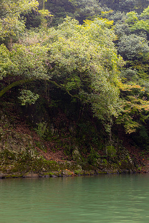 2026JapanTrip-345