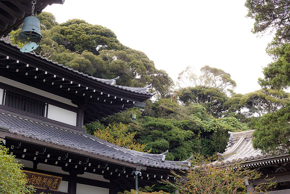 2026JapanTrip-81