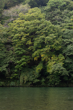 2026JapanTrip-338
