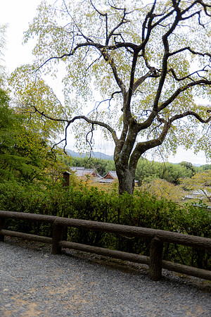 2026JapanTrip-255