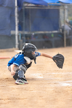 BlueJaysBaseball-48