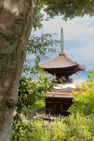 2026JapanTrip-233