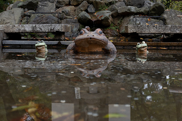 2026JapanTrip-264