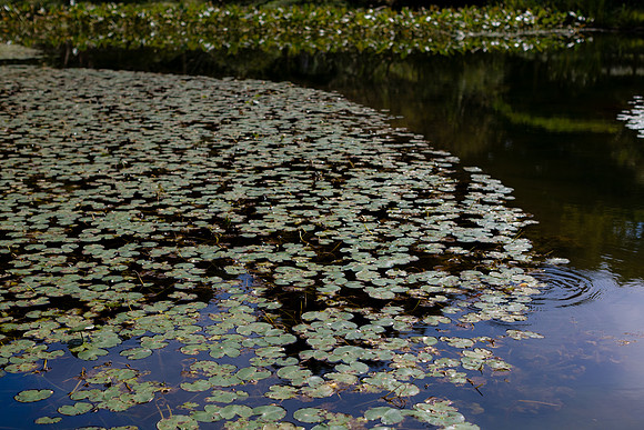 2026JapanTrip-116