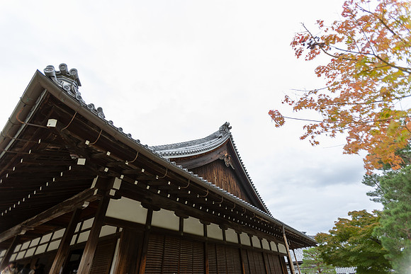 2026JapanTrip-257