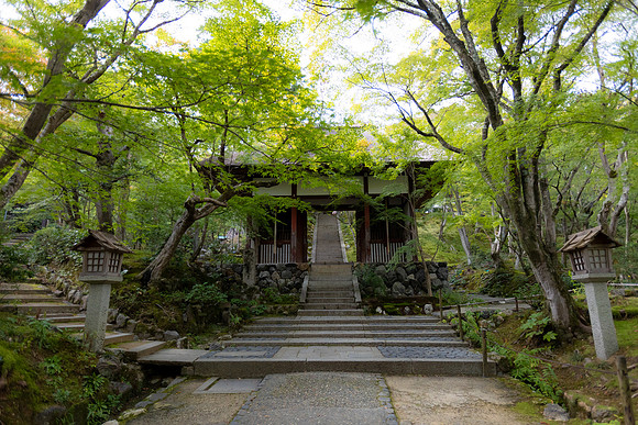 2026JapanTrip-225