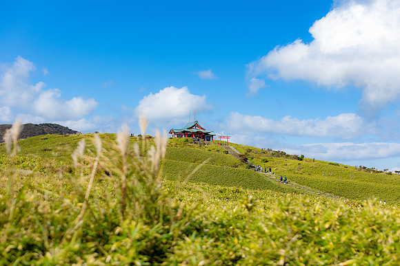 2026JapanTrip-24