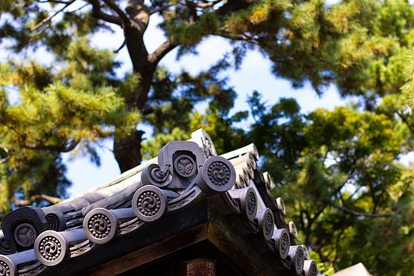 2026JapanTrip-96