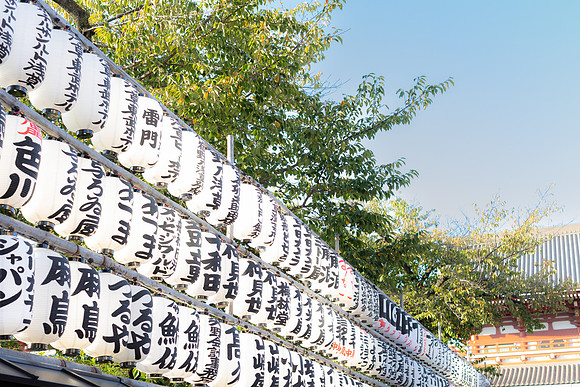 2026JapanTrip-135