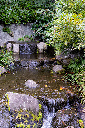 2026JapanTrip-68