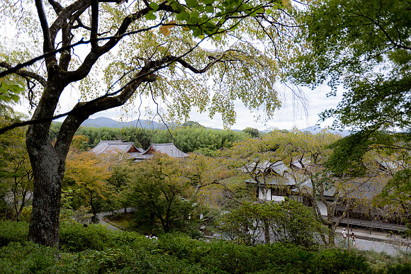 2026JapanTrip-254