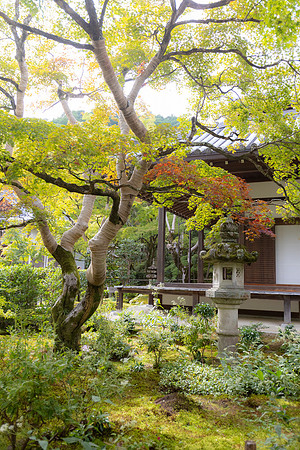 2026JapanTrip-231