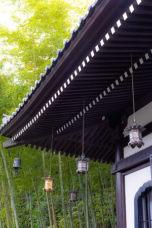2026JapanTrip-77
