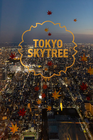 2026JapanTrip-177