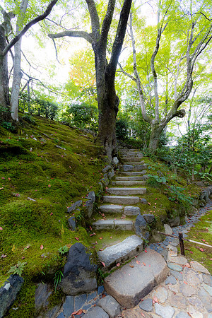 2026JapanTrip-244