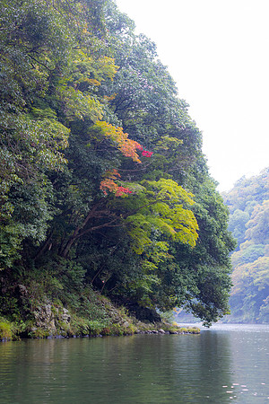 2026JapanTrip-356
