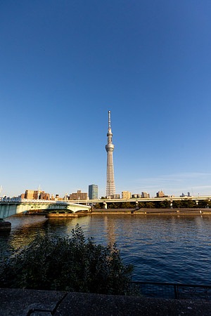 2026JapanTrip-163