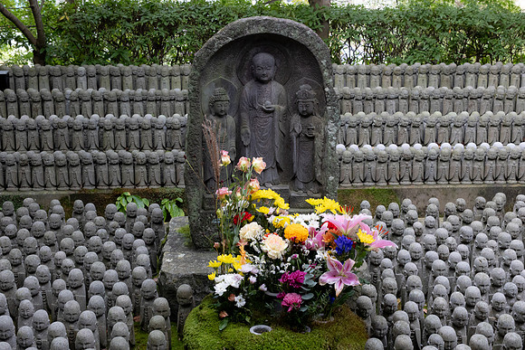 2026JapanTrip-82