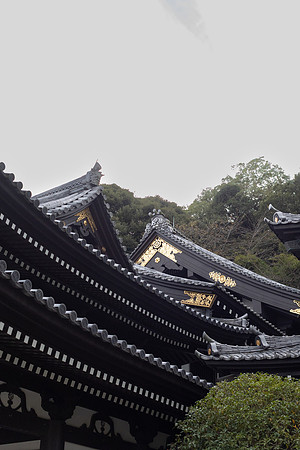 2026JapanTrip-71
