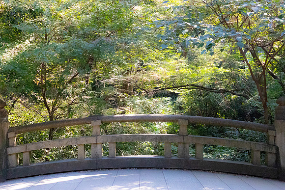 2026JapanTrip-199