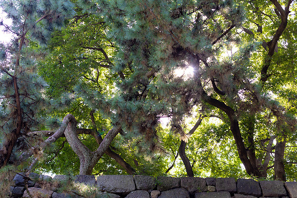 2026JapanTrip-107