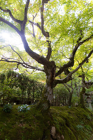 2026JapanTrip-221
