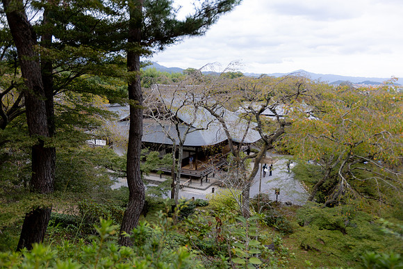 2026JapanTrip-253