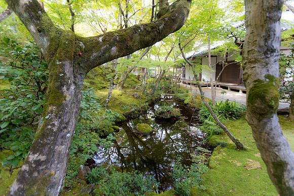 2026JapanTrip-232