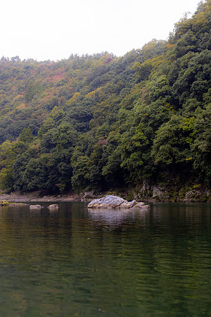 2026JapanTrip-341