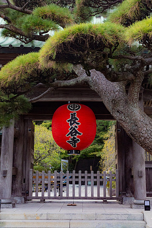 2026JapanTrip-61