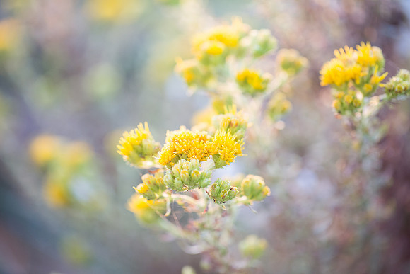 2019 Nature-5